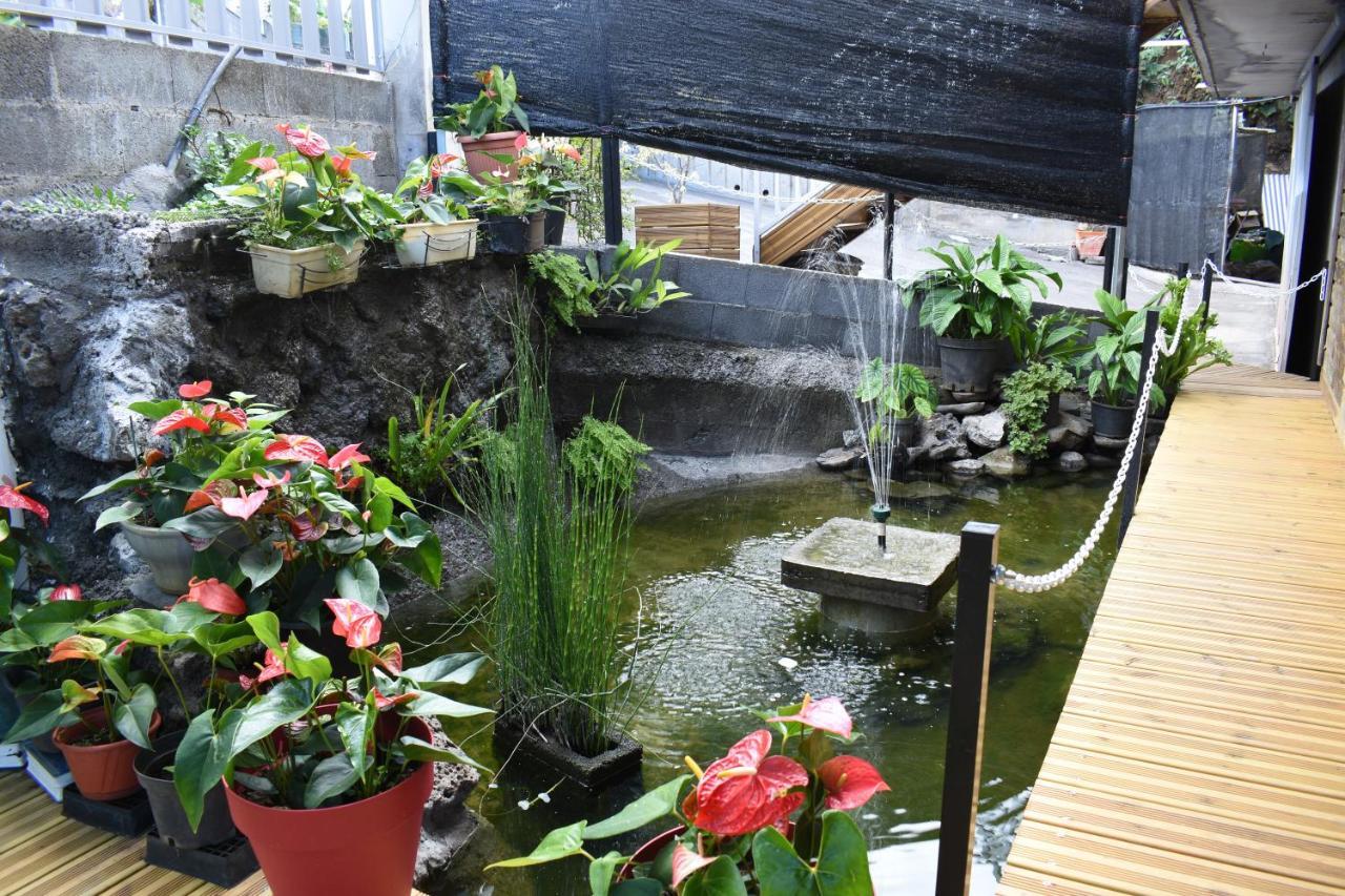 Bed and Breakfast Horizon 180° Le Bois de Nefles  Экстерьер фото